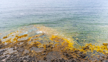 PHOTO1-2025-10-13-12-41-10 3.jpg